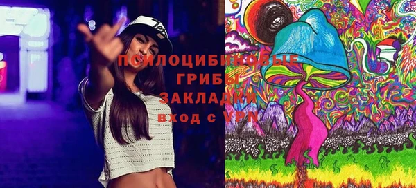 ешки Дмитровск