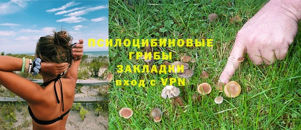 марихуана Дмитров