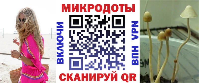 Галлюциногенные грибы мицелий  сколько стоит  Пролетарск 